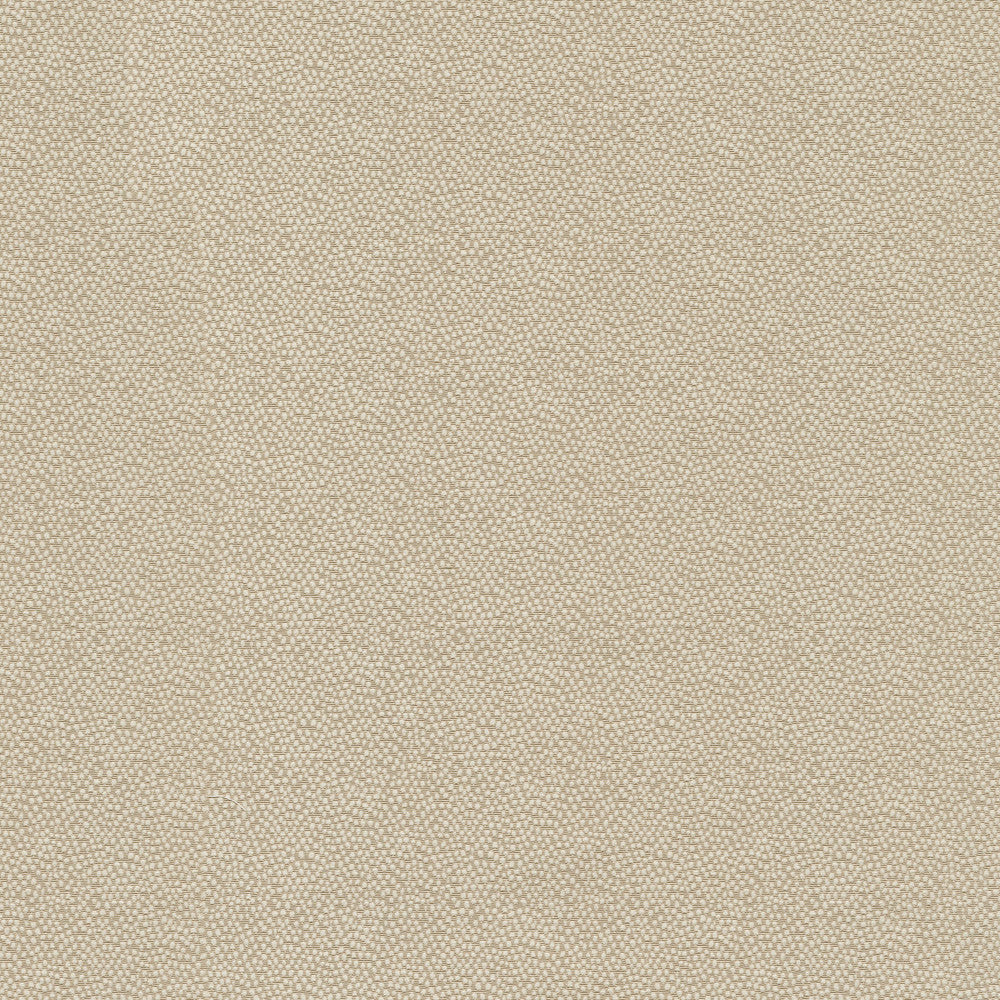 Vela Cameo 470795 by PKL Studio Designer Fabric - 45% polyester, 55% cotton India 51000 Horizontal: 2.38 and Vertical: 1.75 56 - Swanky Fabrics -