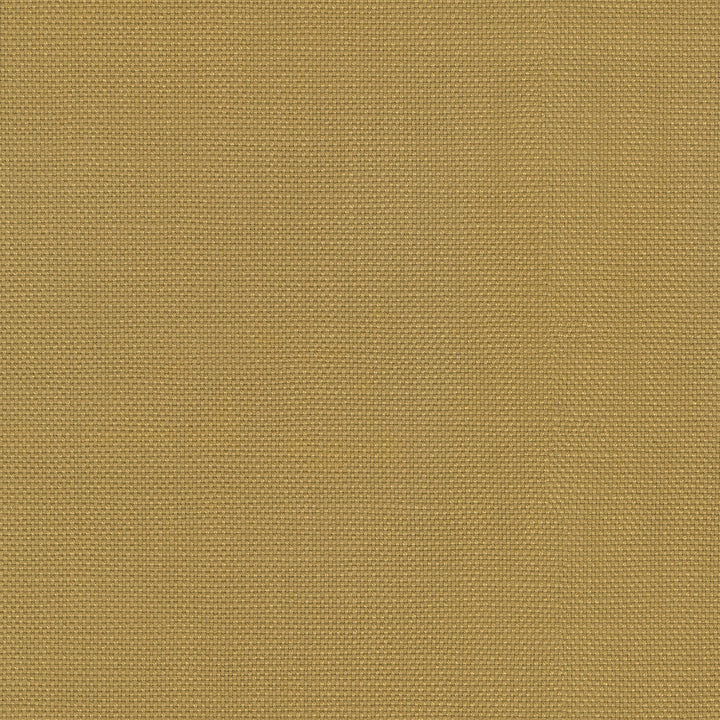 Centro Gold 470856 by PKL Studio Designer Fabric - 100% cotton Pakistan 51000 Horizontal: N/A and Vertical: N/A 54 - Swanky Fabrics -