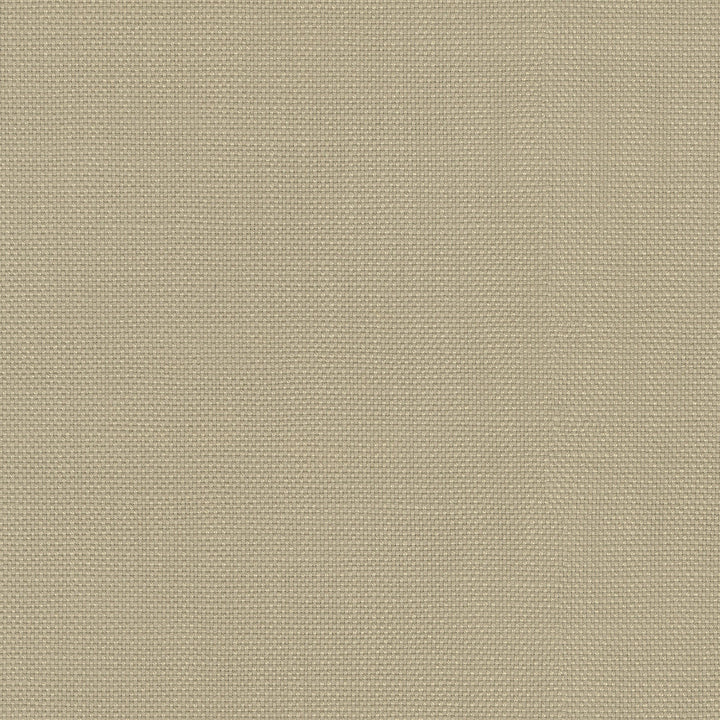 Centro Linen 470863 by PKL Studio Designer Fabric - 100% cotton Pakistan 51000 Horizontal: N/A and Vertical: N/A 54 - Swanky Fabrics -