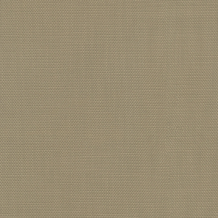 Centro Mushroom 470864 by PKL Studio Designer Fabric - 100% cotton Pakistan 51000 Horizontal: N/A and Vertical: N/A 54 - Swanky Fabrics -