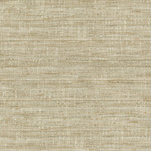 P/K Lifestyles Fabric Daydream Dune 471073