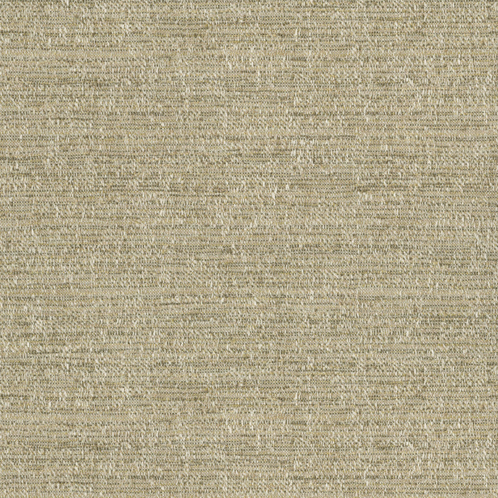 Garrett Haystack 471084 by P/K LIFESTYLES Designer Fabric - 90% polyester, 10% cotton India 51000 Horizontal: 0 and Vertical: 0 54  - Swanky Fabrics -