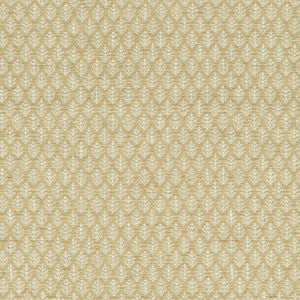 P/K Lifestyles Fabric Fern Fair Wheat 471096