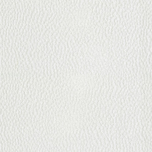P/K Lifestyles Fabric Spotty Dotty White 471249