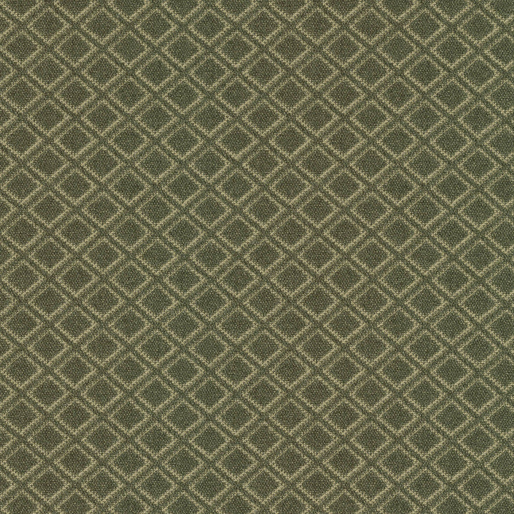 Rare Gem Juniper 471250 by P/K LIFESTYLES Designer Fabric - 100% polyester India 51000 Horizontal: 1.25 and Vertical: 1.12 54  - Swanky Fabrics -