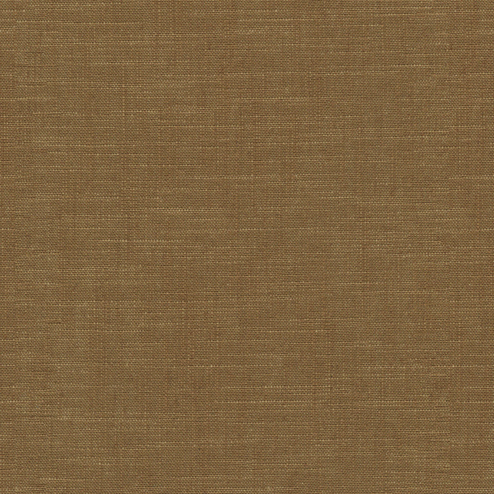 Winston Saddle 471380 by P/K LIFESTYLES Designer Fabric - 70% cotton, 30% linen India 51000 Horizontal: 0 and Vertical: 0 56  - Swanky Fabrics -