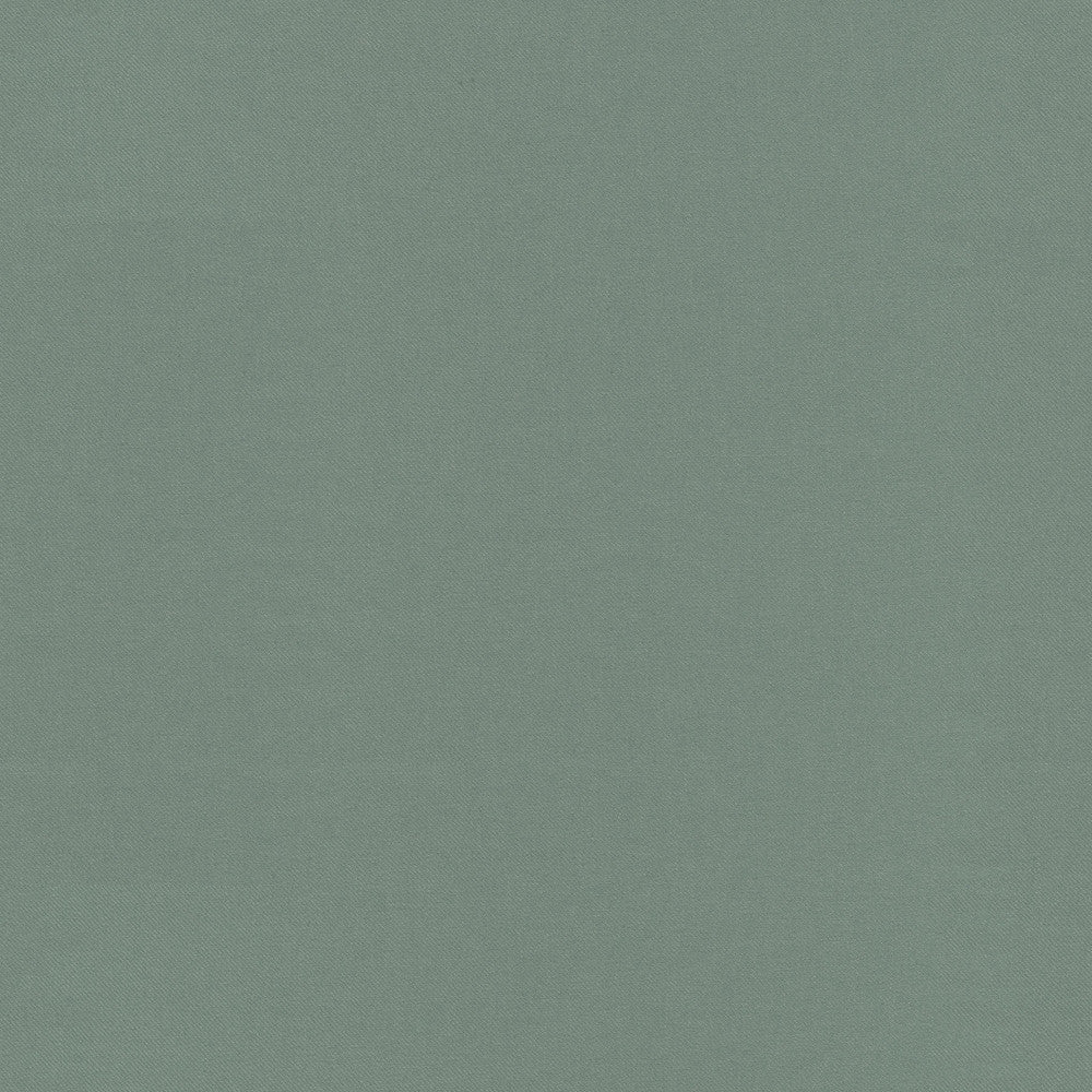 Raya Spa 471407 by P/K LIFESTYLES Designer Fabric - 100% recycled polyester India 51000 Horizontal: 0 and Vertical: 0 56  - Swanky Fabrics -
