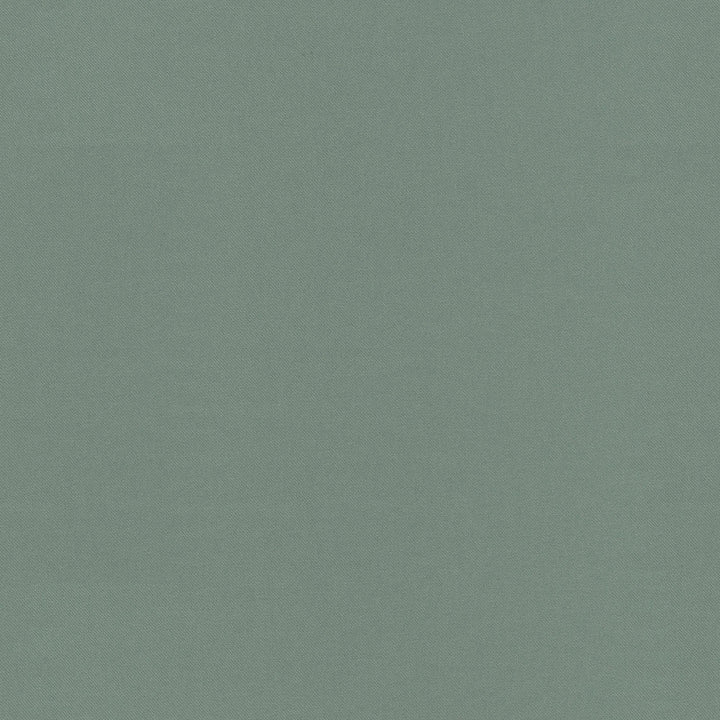 Raya Spa 471407 by P/K LIFESTYLES Designer Fabric - 100% recycled polyester India 51000 Horizontal: 0 and Vertical: 0 56  - Swanky Fabrics -