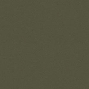 P/K Lifestyles Fabric Raya Leaf 471409