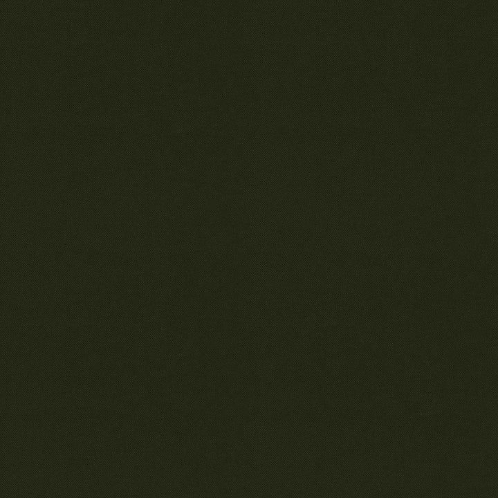 Raya Olive 471410 by P/K LIFESTYLES Designer Fabric - 100% recycled polyester India 51000 Horizontal: 0 and Vertical: 0 56  - Swanky Fabrics -