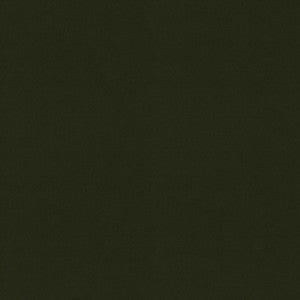 P/K Lifestyles Fabric Raya Olive 471410