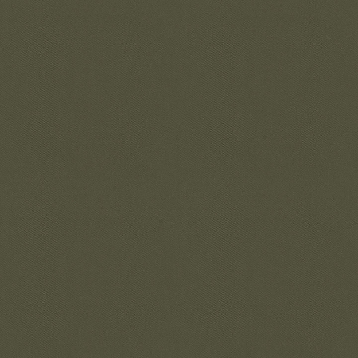 Raya Loden 471411 by P/K LIFESTYLES Designer Fabric - 100% recycled polyester India 51000 Horizontal: 0 and Vertical: 0 56  - Swanky Fabrics -