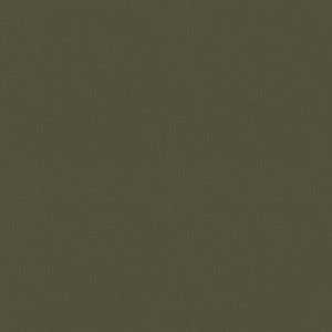 P/K Lifestyles Fabric Raya Loden 471411