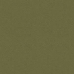 P/K Lifestyles Fabric Raya Sage 471412