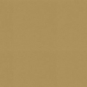 P/K Lifestyles Fabric Raya Wheat 471413