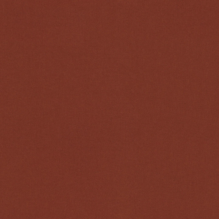 Raya Paprika 471417 by P/K LIFESTYLES Designer Fabric - 100% recycled polyester India 51000 Horizontal: 0 and Vertical: 0 56  - Swanky Fabrics -
