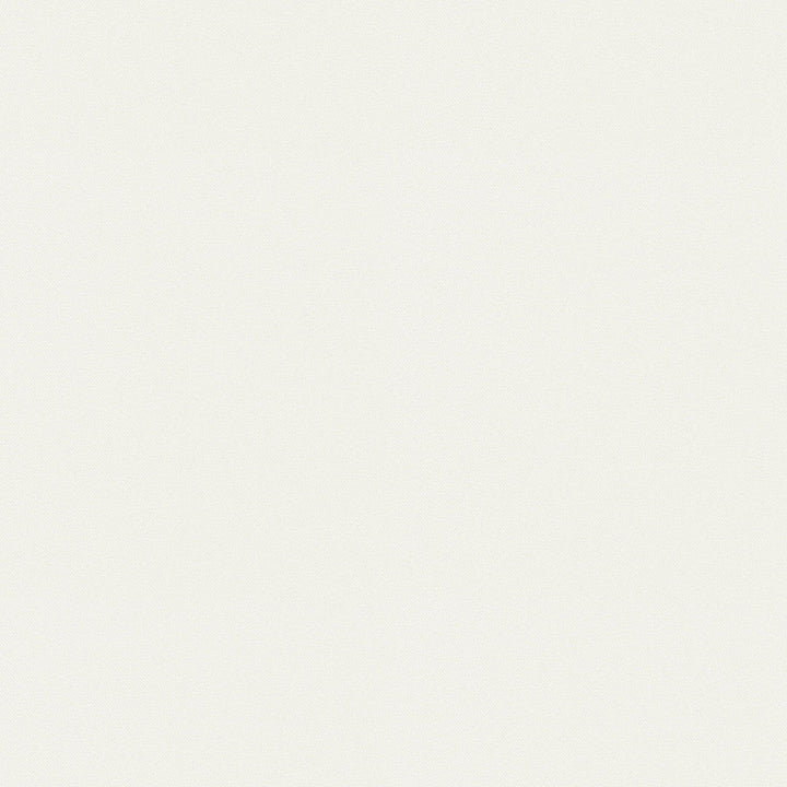 Raya White 471420 by P/K LIFESTYLES Designer Fabric - 100% recycled polyester India 51000 Horizontal: 0 and Vertical: 0 56  - Swanky Fabrics -