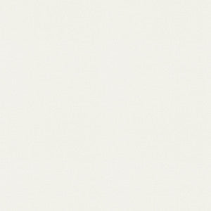 P/K Lifestyles Fabric Raya White 471420