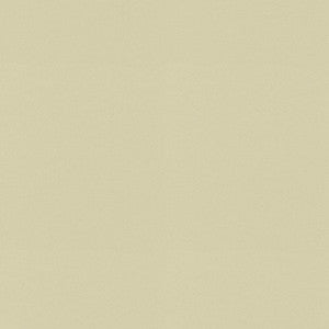 P/K Lifestyles Fabric Raya Beige 471424