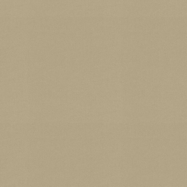Raya Driftwood 471425 by P/K LIFESTYLES Designer Fabric - 100% recycled polyester India 51000 Horizontal: 0 and Vertical: 0 56  - Swanky Fabrics -