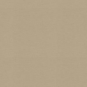 P/K Lifestyles Fabric Raya Driftwood 471425