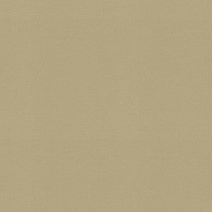 P/K Lifestyles Fabric Raya Sesame 471427