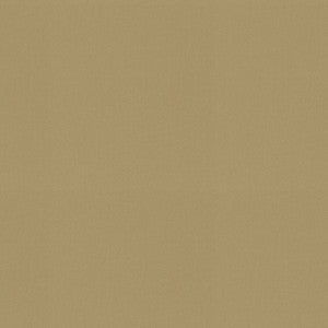 P/K Lifestyles Fabric Raya Toast 471428