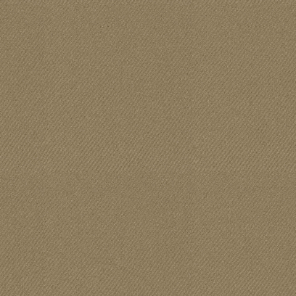 Raya Ginger 471429 by P/K LIFESTYLES Designer Fabric - 100% recycled polyester India 51000 Horizontal: 0 and Vertical: 0 56  - Swanky Fabrics -