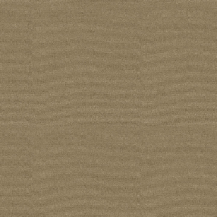 Raya Ginger 471429 by P/K LIFESTYLES Designer Fabric - 100% recycled polyester India 51000 Horizontal: 0 and Vertical: 0 56  - Swanky Fabrics -