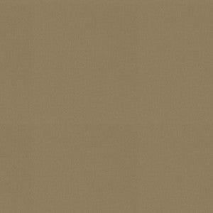 P/K Lifestyles Fabric Raya Ginger 471429