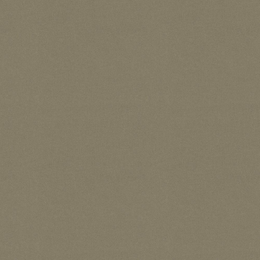 Raya Taupe 471431 by P/K LIFESTYLES Designer Fabric - 100% recycled polyester India 51000 Horizontal: 0 and Vertical: 0 56  - Swanky Fabrics -
