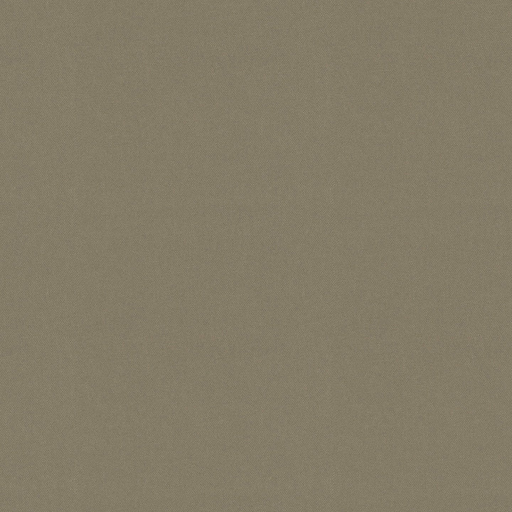 Raya Taupe 471431 by P/K LIFESTYLES Designer Fabric - 100% recycled polyester India 51000 Horizontal: 0 and Vertical: 0 56  - Swanky Fabrics -