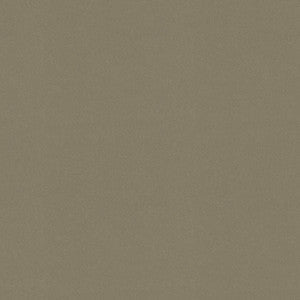 P/K Lifestyles Fabric Raya Taupe 471431