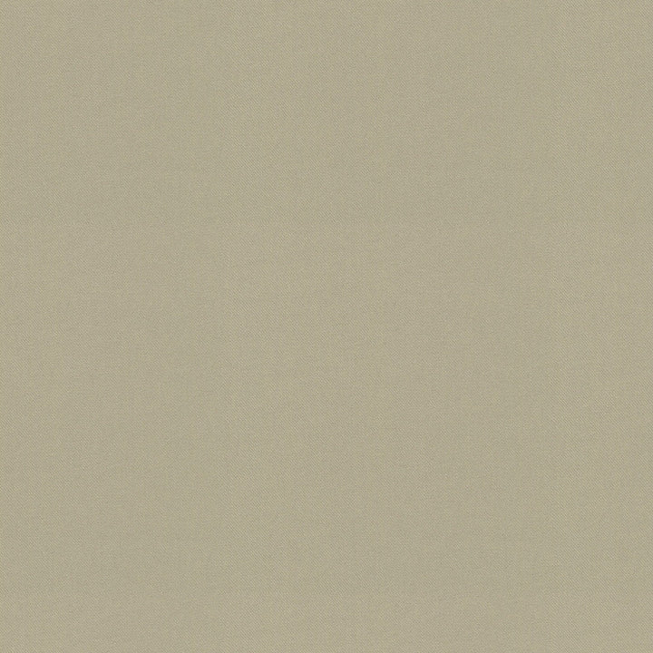 Raya Oyster 471434 by P/K LIFESTYLES Designer Fabric - 100% recycled polyester India 51000 Horizontal: 0 and Vertical: 0 56  - Swanky Fabrics -