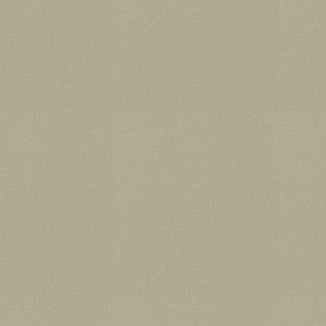 P/K Lifestyles Fabric Raya Oyster 471434