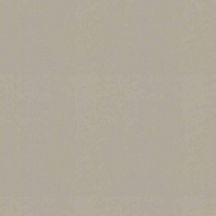 Raya Sterling 471435 by P/K LIFESTYLES Designer Fabric - 100% recycled polyester India 51000 Horizontal: 0 and Vertical: 0 56  - Swanky Fabrics -