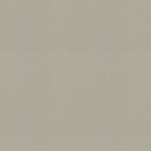 P/K Lifestyles Fabric Raya Sterling 471435