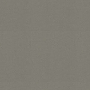 P/K Lifestyles Fabric Raya Gray 471437
