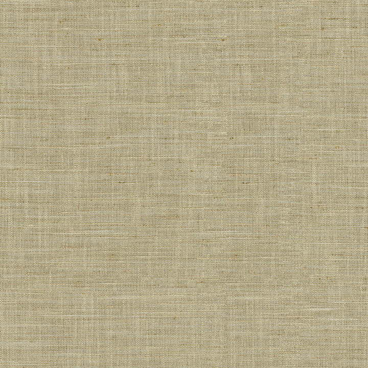 Santa Fe Linen by PK Lifestyles Designer Fabric - 50% polyester, 35% rayon, 15% linen India 45000 Horizontal: 0 and Vertical: 0 55 - Swanky Fabrics -
