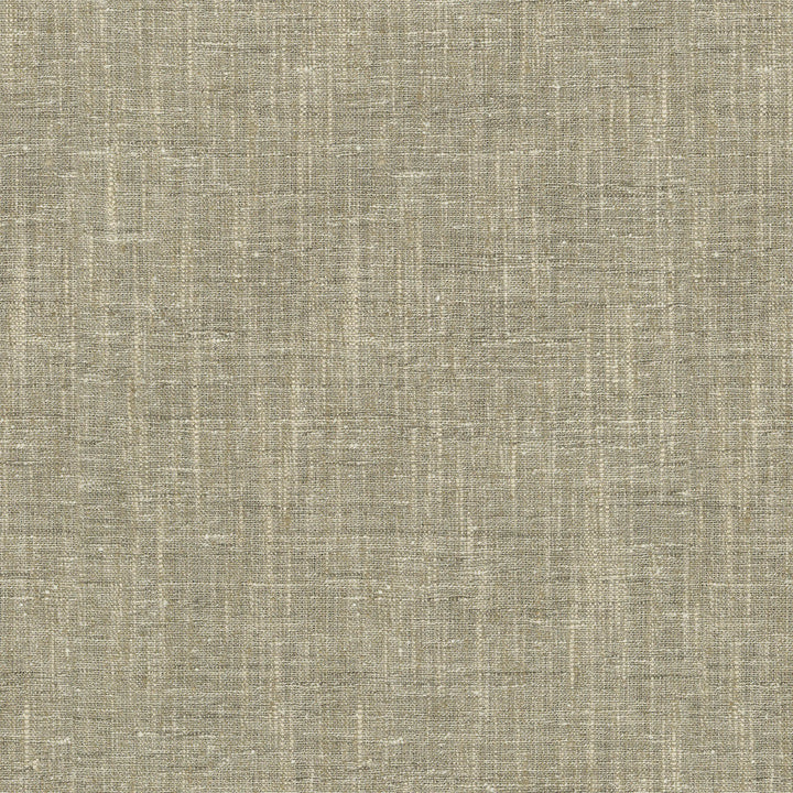 Accent Mineral by PK Lifestyles Designer Fabric - 97% polyester, 3% cotton India 50000 Horizontal: 0 and Vertical: 0 54 - Swanky Fabrics -