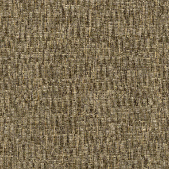 Accent Walnut by PK Lifestyles Designer Fabric - 97% polyester, 3% cotton India 50000 Horizontal: 0 and Vertical: 0 54 - Swanky Fabrics -