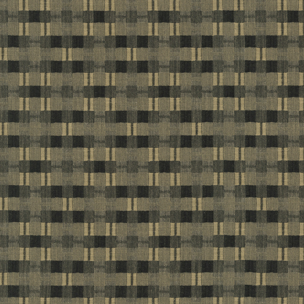 Picnic Plaid Calligraphy by PK Lifestyles Designer Fabric - 59% polyester, 41% cotton India 51000 Horizontal: 0 and Vertical: 0 54 - Swanky Fabrics -