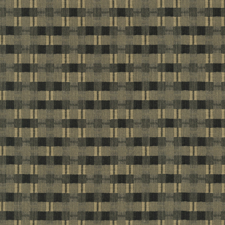 Picnic Plaid Calligraphy by PK Lifestyles Designer Fabric - 59% polyester, 41% cotton India 51000 Horizontal: 0 and Vertical: 0 54 - Swanky Fabrics -
