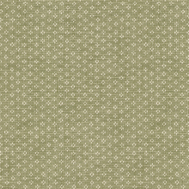 Bay Leaf Olive by PK Lifestyles Designer Fabric - 75% cotton, 25% polyester India 51000 Horizontal: 0.87 and Vertical: 0.63 54 - Swanky Fabrics -