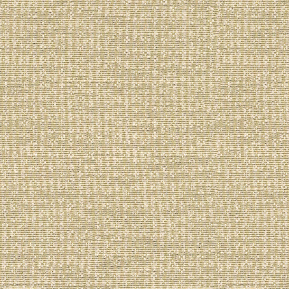 Bay Leaf Linen by PK Lifestyles Designer Fabric - 75% cotton, 25% polyester India 51000 Horizontal: 0.87 and Vertical: 0.63 54 - Swanky Fabrics -