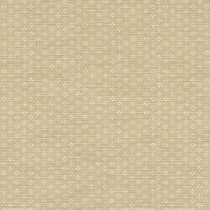 Bay Leaf Linen by PK Lifestyles Designer Fabric - 75% cotton, 25% polyester India 51000 Horizontal: 0.87 and Vertical: 0.63 54 - Swanky Fabrics -