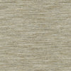 PK Lifestyles Fabric Dylan Papyrus