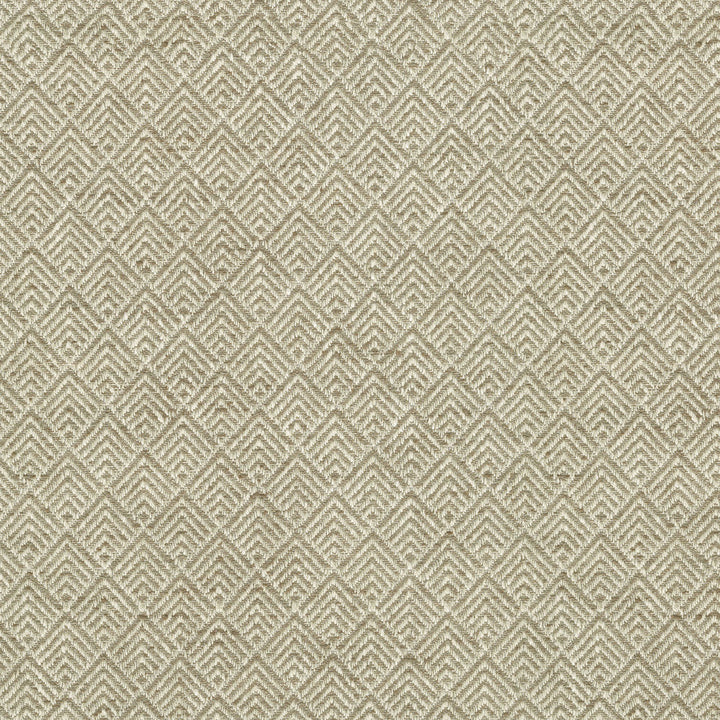 Facet Mineral 472181 by PK Lifestyles Designer Fabric Cultural Exchange IX 86% Polyester. 14% Cotton India 51000 H: 1.375, V: 1.4 54 - Swanky Fabrics -