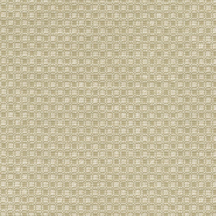 Outside the Box Oat 472212 by PK Lifestyles Designer Fabric Expressionist VI 74% Polyester, 26% Cotton India 51000 H: 1, V: 0.875 54 - Swanky Fabrics -