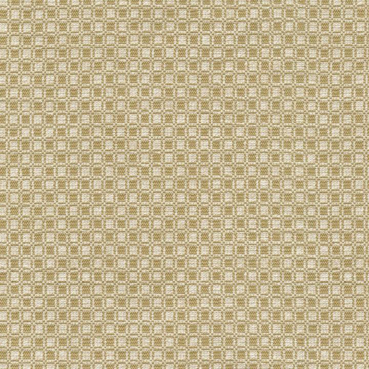 Outside the Box Gold 472213 by PK Lifestyles Designer Fabric Expressionist VI 74% Polyester, 26% Cotton India 51000 H: 1, V: 0.875 54 - Swanky Fabrics -